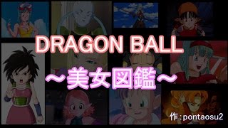 俺が選んだドラゴンボール美女図鑑 ~DB Girls Collection~