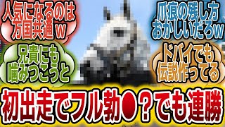 世界の競馬関係者「●●？あいつはまさにクレイジーホースだぜ！」に対するみんなの反応【競馬の反応集】