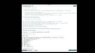 Interactive docker: build image and run container.