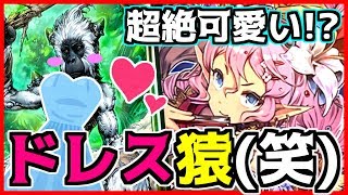 【エルフ厨 #406】可愛くなった猿はいかがですか？ミッドレンジエルフ！【シャドウバース】【Shadowverse】