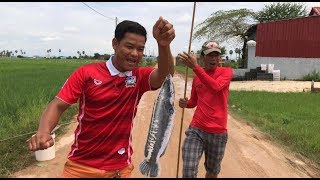 ខ្មែរស្ទូចត្រីបានធំ- khmer fishing got big fish