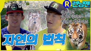 호랑이의 사냥감 #런닝맨 ep.256