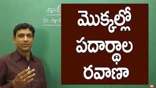 మొక్కల్లో పదార్థాల రవాణా | Transportation in plants | Class 10 biology in telugu