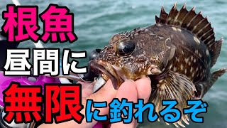 【穴釣り】知ってて損は無し！最強穴釣りワームを落としたら根魚無双！