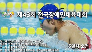 제43회 전국장애인체육대회 수영