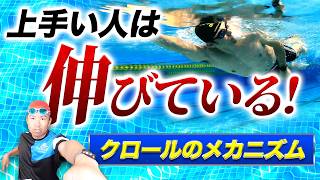 驚愕のクロールテクニック！シニアでもスイスイ泳げる秘訣とは？