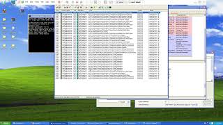 Basic Dynamic Analysis (Part 2) - Win32.Pinfi.B Malware