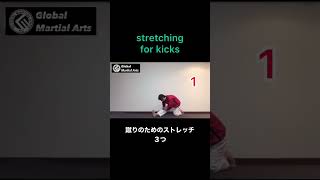 蹴りのためのストレッチ３つ／stretching for kicks #shorts lees  #태권도 ＃テコンドー