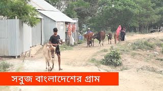 বাংলাদেশের এক অসাধারণ গ্রাম  ||  Bangladesh Village Life