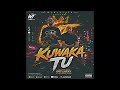 Wawili Tu – Kuwaka Tu (Official Audio)