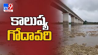 Godavari river water polluted due to industrial effluents in Telangana - TV9