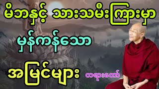 မိဘနှင့်သားသမီးကြားမှာ မှန်ကန်သောအမြင်များ တရားဒေသနာတော်