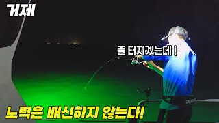 정말 어렵지만 잡아보면 엔돌핀이 폭발하는 낚시! 여러번의 시도끝에 성공했습니다