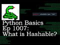 Python Basics Tutorial What is hashable? || Why Tuples instead of Lists Viewer Comment Question