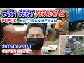 cara cepat fermentasi pupuk kotoran hewan 3 hari jadi super subur