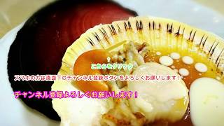 【幻の貝】希少　月日貝を食べてみた。Japanese phantom shellfish