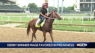 Kentucky Derby winner Mage only Derby horse running in Preakness Stakes