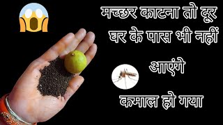 न केमिकल न कीटनाशक मच्छर भगाने का यह है घरेलू तरीका kitchen tips/machhar bhagane ka asan tarika