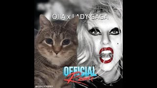 OIIA Cat x Judas | Lady Gaga (Official Remix)