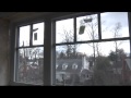 Home Energy Efficiency Tips: Windows