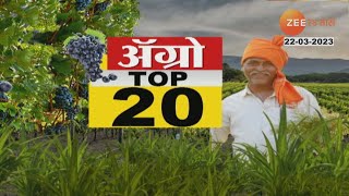 Agro Top 20 | महाराष्ट्रात पुढील 4 दिवस मेघगर्जनेसह पावसाचा इशारा, मराठवाडा विदर्भात यॅलो अलर्ट