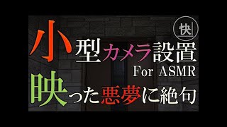 【睡眠朗読】小型カメラに映ったえげつない事実に絶句悪夢のような妻の裏切り　for ASMR