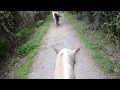 Horseback Riding in The Smoky Mountains Gatlinburg