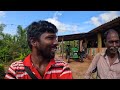 20வயது இளம் பண்ணை முதலாளி jungle buffalo farm jaffna suthan