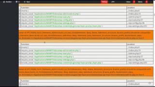Display Debug Information In WordPress