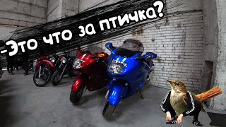 HONDA CBR1100XX за 3,8К | МОТОСТРОНГ | Мотоциклы из Европы