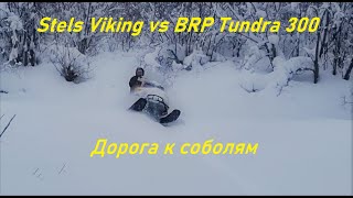 Stels Viking vs BRP tundra 300. Дорога к соболям. Январь 2023.