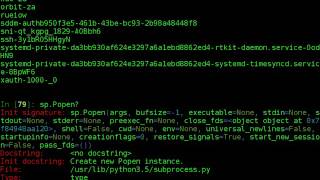 python subprocess - glob - wildcards - call - check_call - check_output - popen