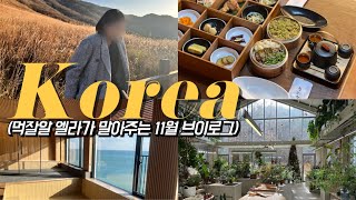 료칸이 이렇게 크다고? 거제덴바스타Ryokan 펜트하우스, 경주숙소, 억새군락지🌾, 충주 활옥동굴, 용인 오랑쥬리🪴