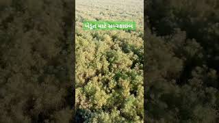 #ખેડૂત# #ખેતી# માટે એક# સબ્સ્ક્રાઇબ#short#video#