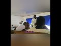 BOANERGES APOSTOLIC CHURCH ⛪ 🔥 🔥 ...bafc .(mbare kereke )