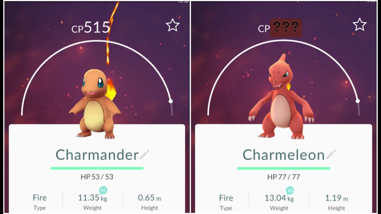 Pokemon Go Charmander Day Serymad