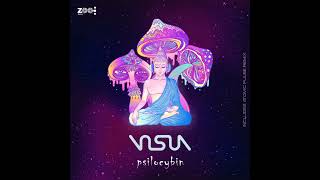 Visua - Psilocybin Chapter II (Atomic Pulse Remix)