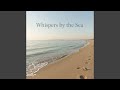 Rays of the Quiet Ocean