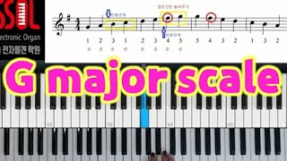 G Major scale(메이져 스케일)/오른손 운지법 테크닉 연습법