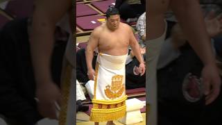 #2024大相撲トーナメント 十両土俵入り #sumo #相撲 #尊富士 #紫雷 #志摩の海 #獅司 #輝