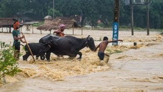 Massive Waterlogging Due To Flood In Raxaul Area In Nepal