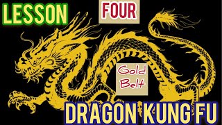 dragon kung fu for beginners with unique way / real application / 龙拳技击防身术