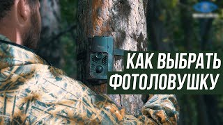 Купить фотоловушку | Фотоловушки для охоты цена | MiniCam24.ru