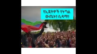 የሲዳማ ህዝብ ድል አደረገ!!! The people of Sidama win the referendum!!