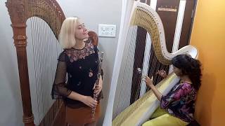 International Bollywood Harpist and Flautist - Despacito instrumental