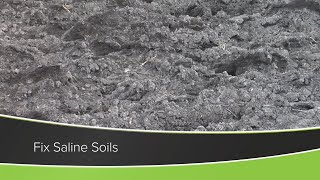 Fix Saline Soils (From Ag PhD Show #1186 - Air Date 12-27-20)