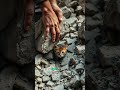 a kitten stuck under rubble… and the rescue that followed 🏚️🐾 pets shorts viral trending