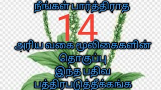 14 அரிய வகை மூலிகைகள் தொகுப்பு/அகத்தியம் மூலிகை காப்போம்