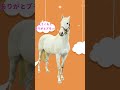 第二の馬生何してる？2 競走馬を引退した後のお馬さんは何をしているのか追ってみました。 競走馬 引退競走馬 競馬 馬