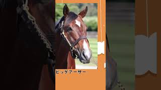 第二の馬生何してる？2 競走馬を引退した後のお馬さんは何をしているのか追ってみました。 #競走馬 #引退競走馬 #競馬 #馬